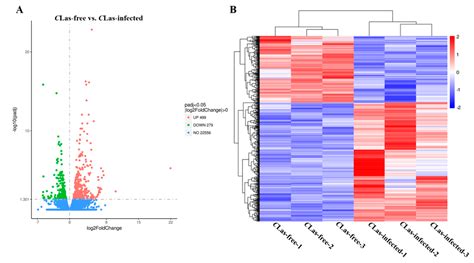 Transcriptome Analyses of Diaphorina citri Midgut Responses to ...