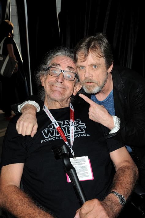 Peter Mark Vasquez Wiki - Petspare