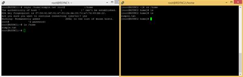 How to Use Rsync Between 2 Servers 的图像结果
