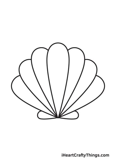 Shell Drawing 的图像结果