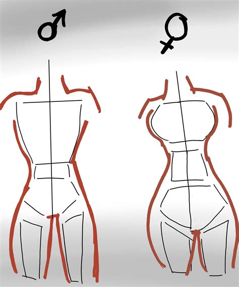 Dibujos De Cuerpos De Mujer