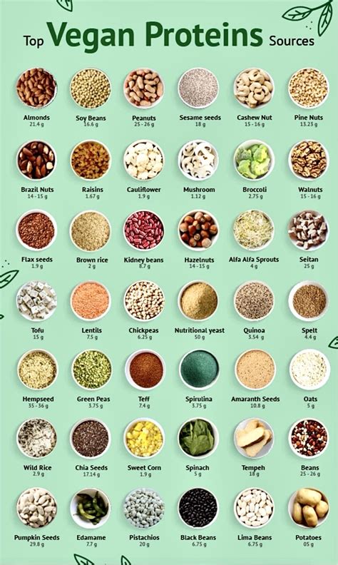 Top 3 Plant Based Sources Of Protein Every Vegan Needs