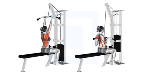 Image result for Cable Machine Bent Over Row