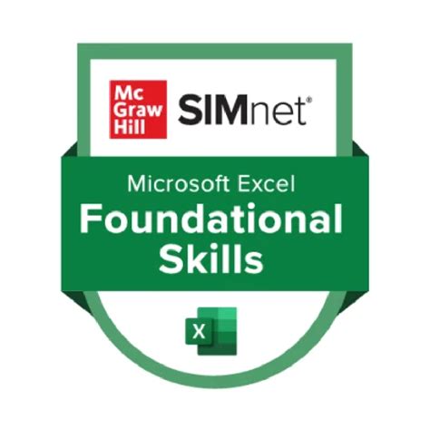 Image result for SimNet Excel 5.2 Skill Review