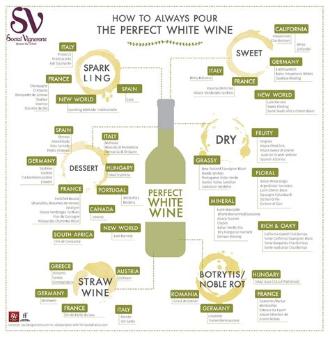 Infographic guide that helps wine lovers select the best white wine for ...
