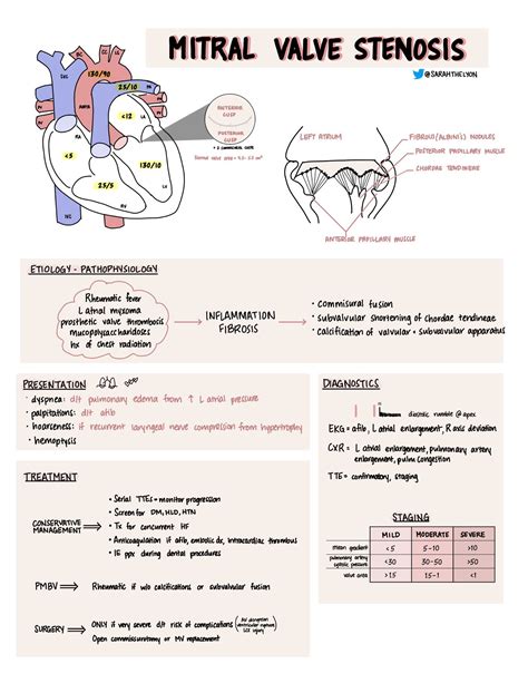 Diagram of Heart Functions and Mitral Valve Stenosis