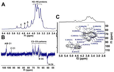Anticancer and Antioxidant Activity of Water-Soluble Polysaccharides ...