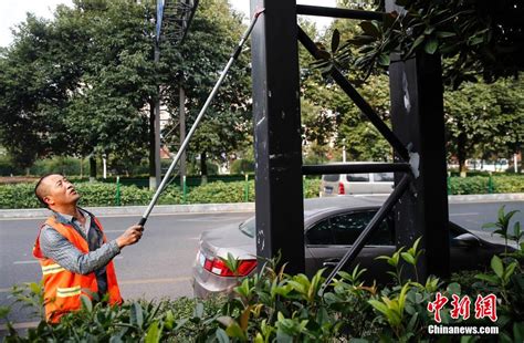 【天眼问政】专访贵阳市交委，探讨共享电单车停放乱象如何破解-蘑菇号