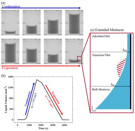A Multiscale CFD Model of Evaporating Hydrogen Menisci: Incorporating ...