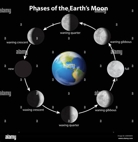 Phases of the Moon Stock Vector Image & Art - Alamy