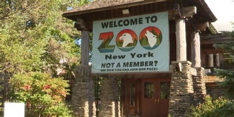 Watertown’s Zoo New York doing better financially
