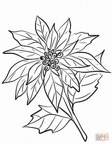 disegni da colorare e stare di fiori disegno di mazzo di fiori natalizia con cartolina da disegni da colorare e stare di fiori disegno di mazzo di fiori natalizia con cartolina da