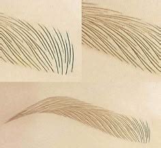 Image result for Microblading Hair Stroke Patterns