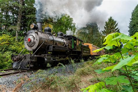 Mt. Rainier Scenic Railroad Still in Operation After Fire, Take a Ride ...