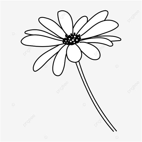 Steen Clipart Zwart Wit