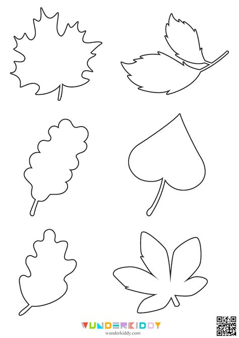 Leaf Outline Template