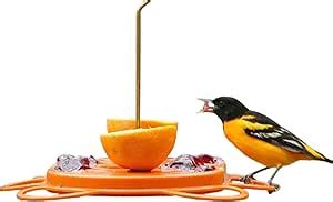 Image result for Genetic Algorithm Functional Schema