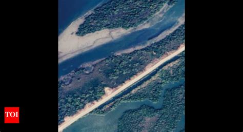 Navi Mumbai: 1 acre CRZ land, mangroves lost to sand mafia | Navi ...