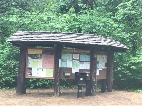 Jones Creek Camping | Tillamook, Oregon