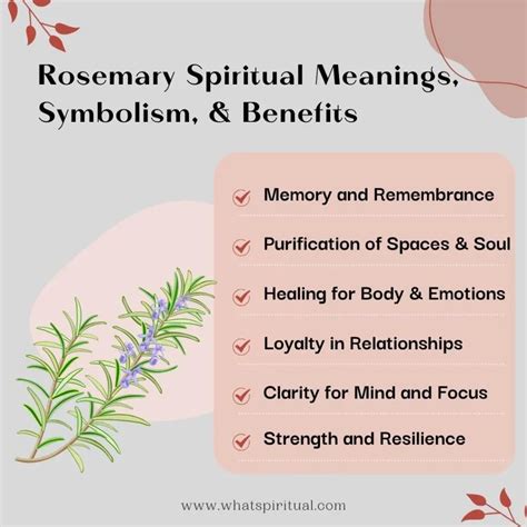 Rosemary Spiritual Meanings, Symbolism, & Benefits - What Spiritual
