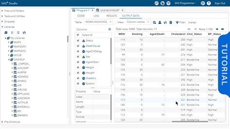 Image result for Using SAS Tutorial