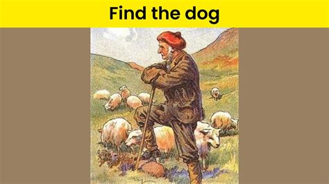 Test your eyesight by finding the dog hidden among the sheep in 7 seconds!