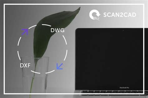 Image result for Convert WS File to DXF