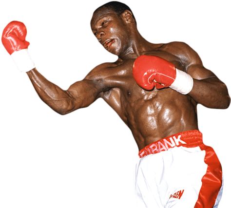 Boxing PNG 的图像结果