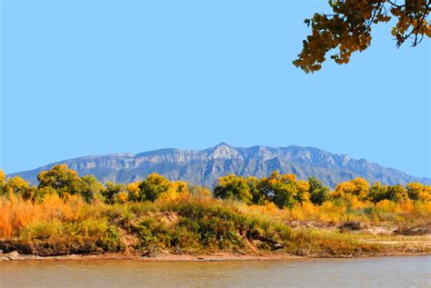 Visit The Rio Grande Nature Center State Park