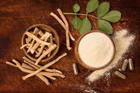 Ashwagandha: o que é, para que serve e benefícios - Minha Vida