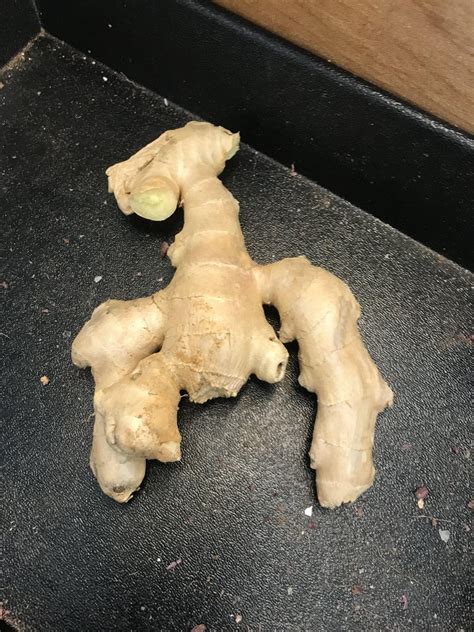 Perfect sealant bead, every time : r/redneckengineering