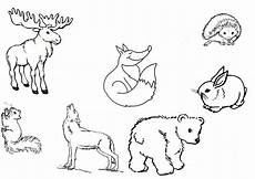 kostenlose malvorlagen tiere und kinder ausmalbilder waldtiere waldtiere tiere ausmalbilder kostenlose malvorlagen tiere und kinder ausmalbilder waldtiere waldtiere tiere ausmalbilder