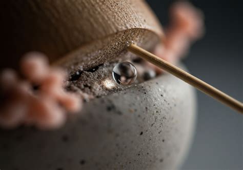 What Is the Difference between Direct and Indirect Rebound Effects? → Learn