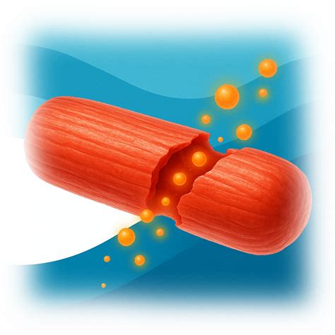 Creatine Kinase Total Test | Ulta Lab Tests