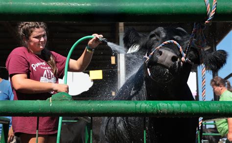 Photos: St. Charles County Fair heats up in Wentzville