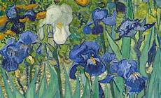i fiori di gogh iris di gogh analisi i fiori di gogh iris di gogh analisi