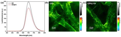 IJMS | Special Issue : Analytical Methods in Biomedical and ...