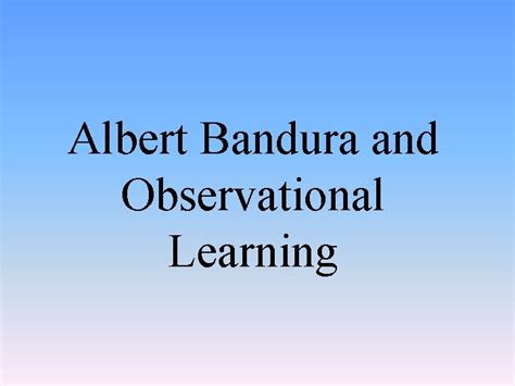 Observational Learning 的图像结果