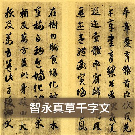 隋字篆书,夏字篆书,唐字篆书_大山谷图库