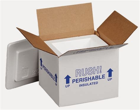 small cooler: small styrofoam cooler