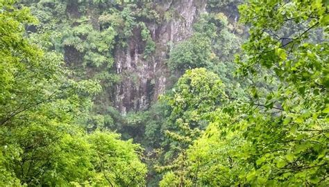 DAPANSHAN NATIONAL NATURE RESERVE (2026) All You Need to Know BEFORE ...