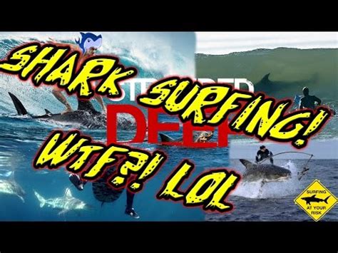 Image result for Stranded Deep Motor Boat