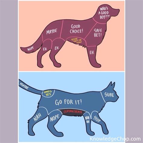 Image result for Logical Argument Example