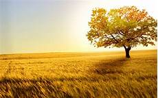 Best Nature Background by Nature Wallpapers Best Wallpapers Best Nature Background