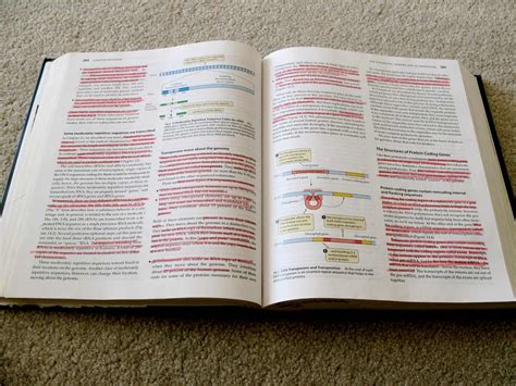 The 11 Step Guide to Highlighting Textbooks | ManipalBlog