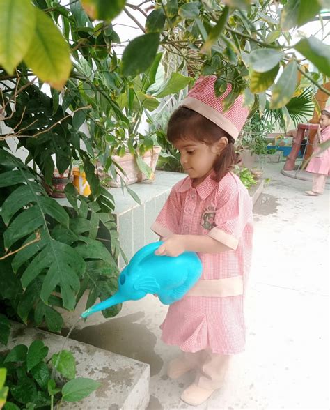 Image result for Activity for Pre Primary