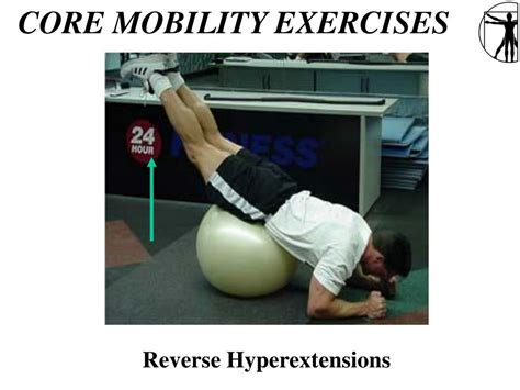 Image result for Core Isolation Exercises