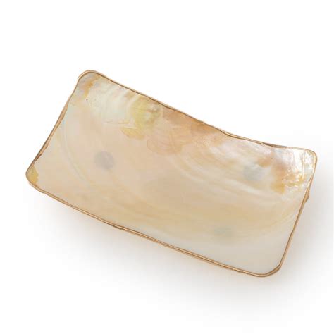 Shell soap dish – Contemporary Arts & Crafts