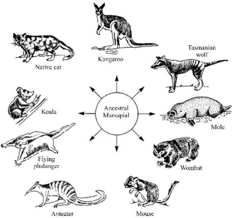Image result for JavaScript Errorlevel