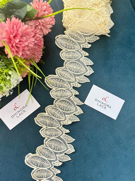 Beautiful Organza Based Lace Off White 190525 – Dhingra Lace